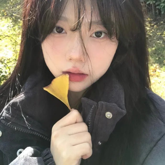 泪桥