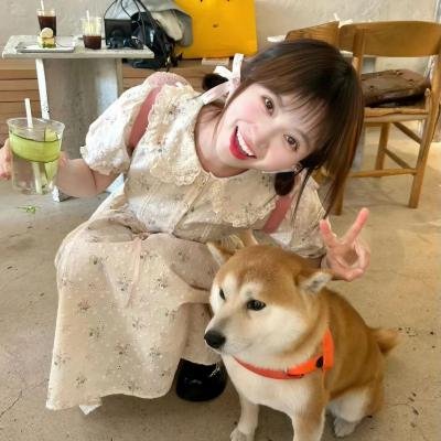 黑暗之夏